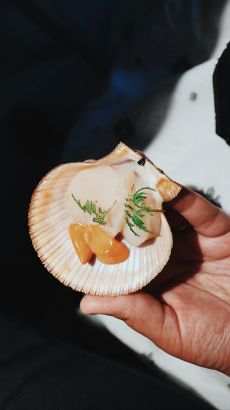 Shell